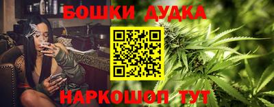 стаф Кимры