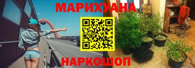 стаф Кимры
