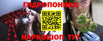 стаф Кимры