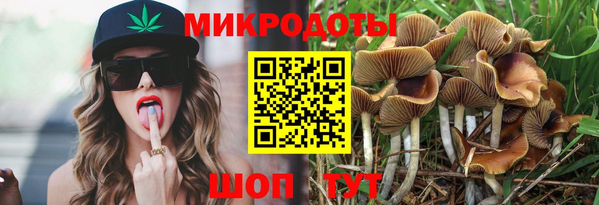 Галлюциногенные грибы GOLDEN TEACHER Лесозаводск